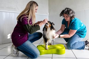 Consultations mise en situation physio
